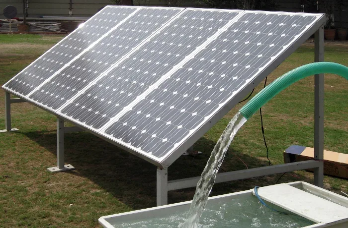 Youth engaging in civic activities